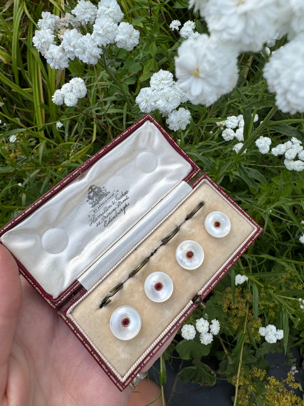 Vintage Mother of Pearl Gem Set of Four Buttons