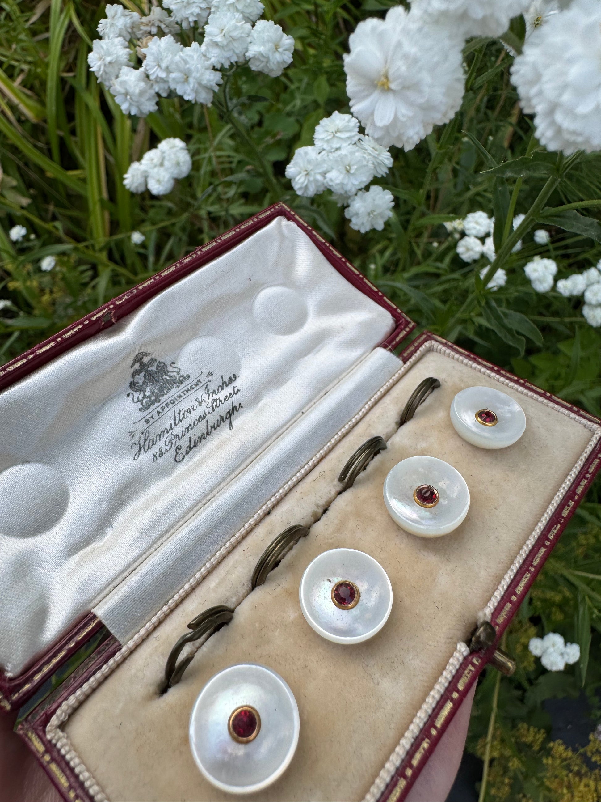 Vintage Mother of Pearl Gem Set of Four Buttons